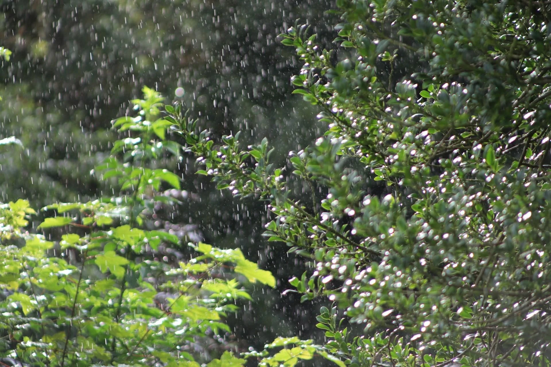 Najnowsza prognoza Temperatury powyżej 20 stopni kontra burze i ulewne deszcze! Wiemy, gdzie nastąpi po…