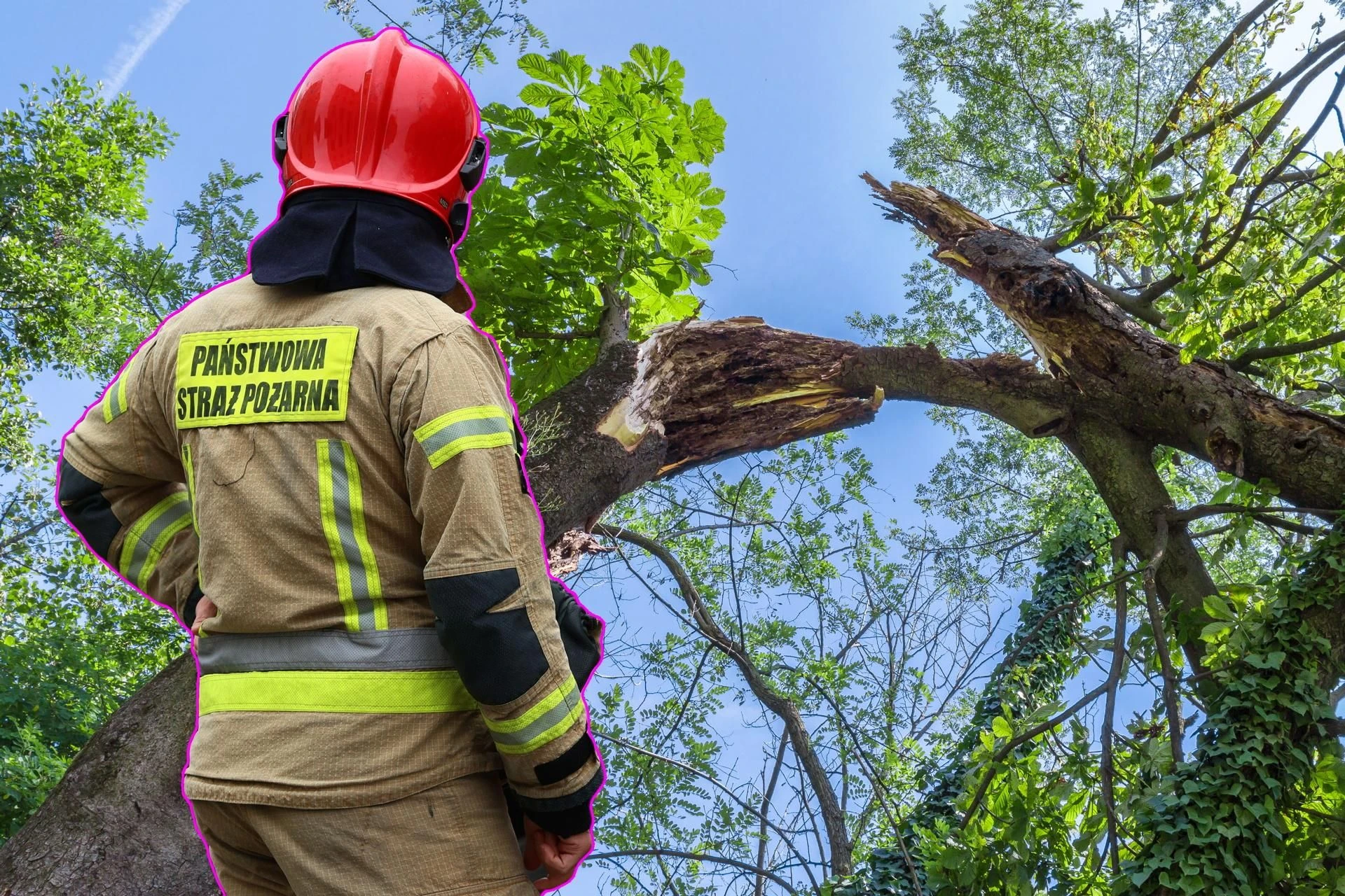 DRAMATYCZNY WYPADEK Na bawiące się 9-latki spadła potężna gałąź. Dziewczynki trafiły do szpitala