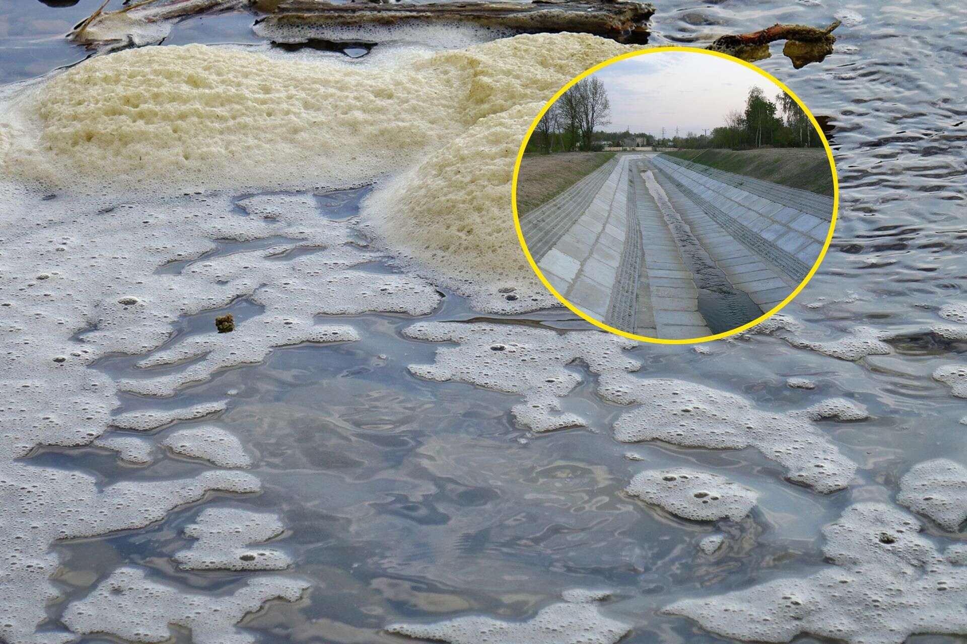 Poważne zanieczyszczenie Grube warstwy piany na rzece! Mieszkańcy wezwali służby. Rok wcześniej padły od tego…