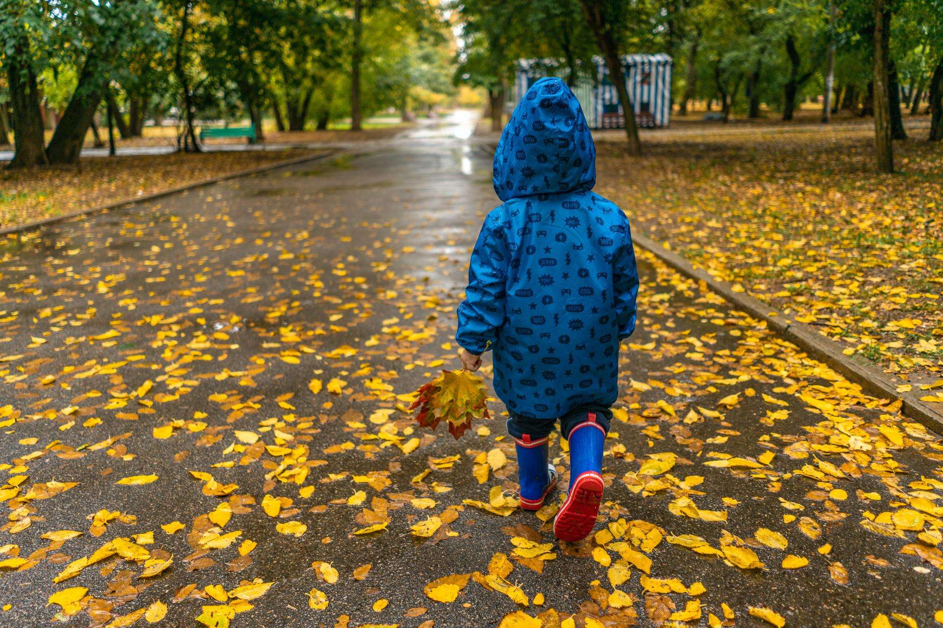 Pogoda na koniec września Prognozy IMGW mówią o deszczu. Padła data