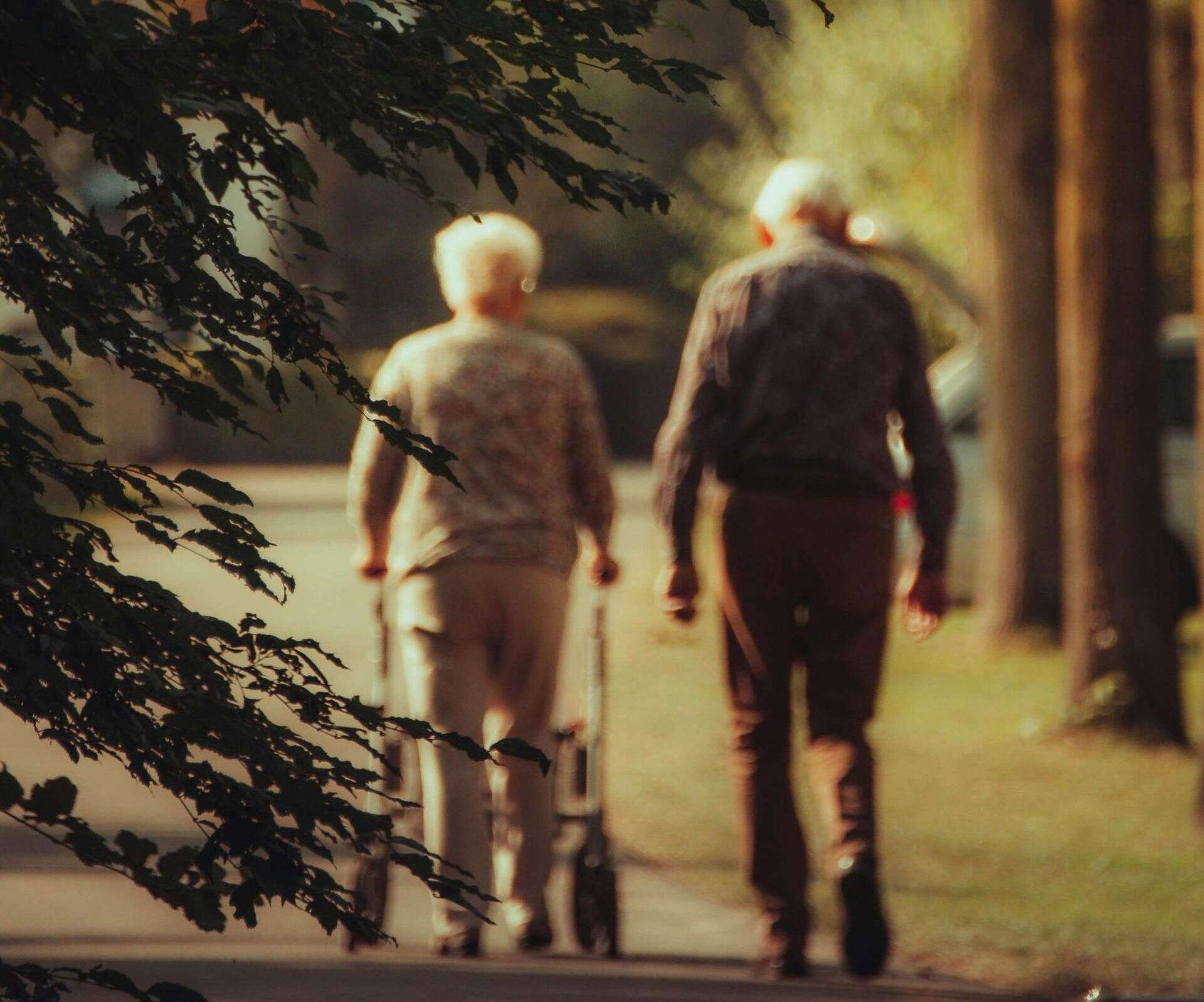 Warto wiedzieć Ten dokument może ułatwić życie seniorom