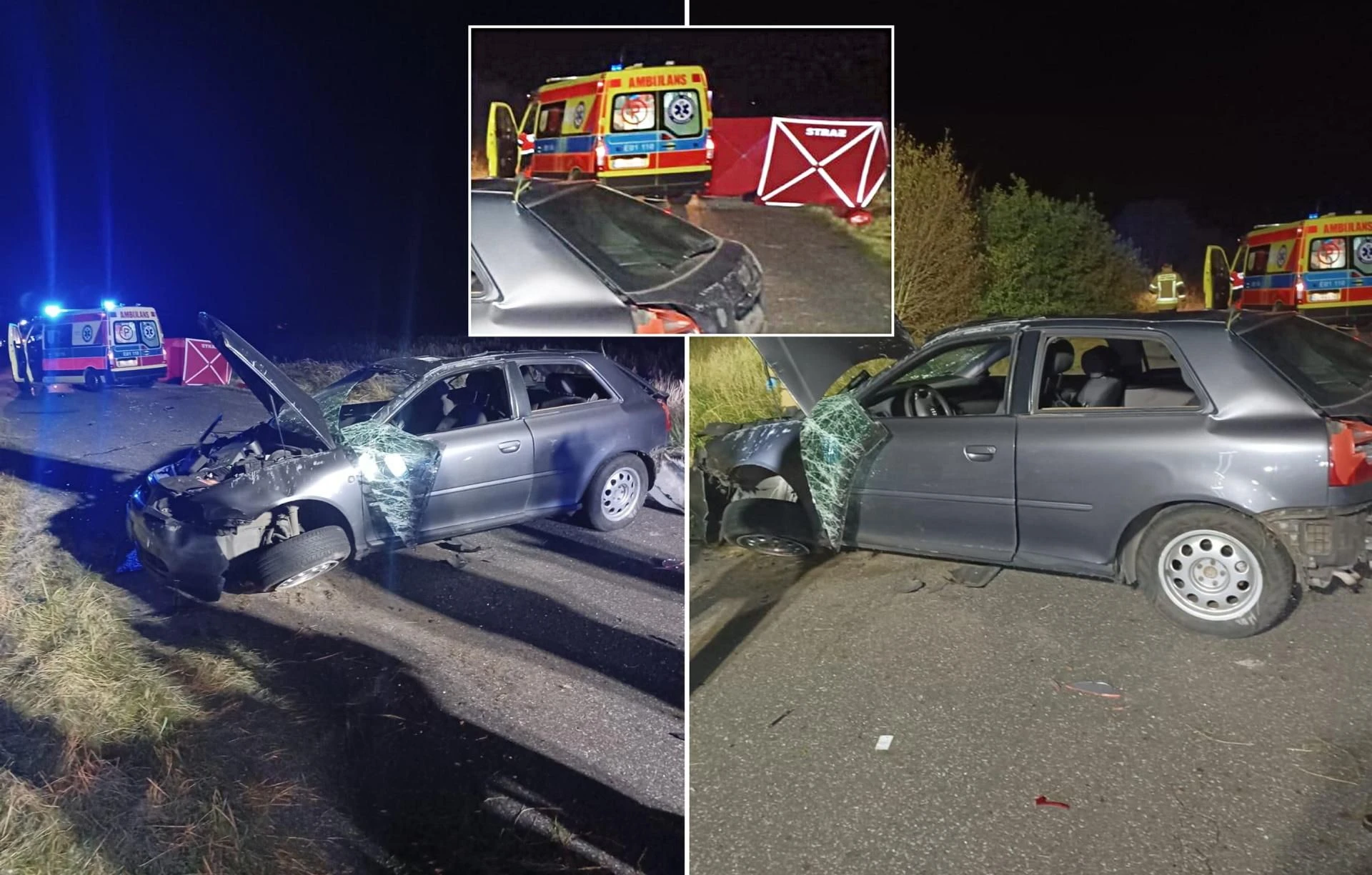 Śmiertelny wypadek Zderzył się z sarną i wyleciał z auta! 36-latek zginął w wieczornej makabrze pod Bełchatowem [ZDJĘCIA]