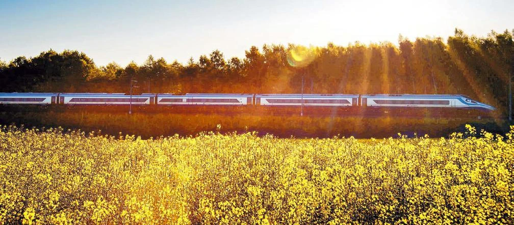 Polacy masowo i spontanicznie rzucili się na pociągi PKP intercity. O co chodzi?