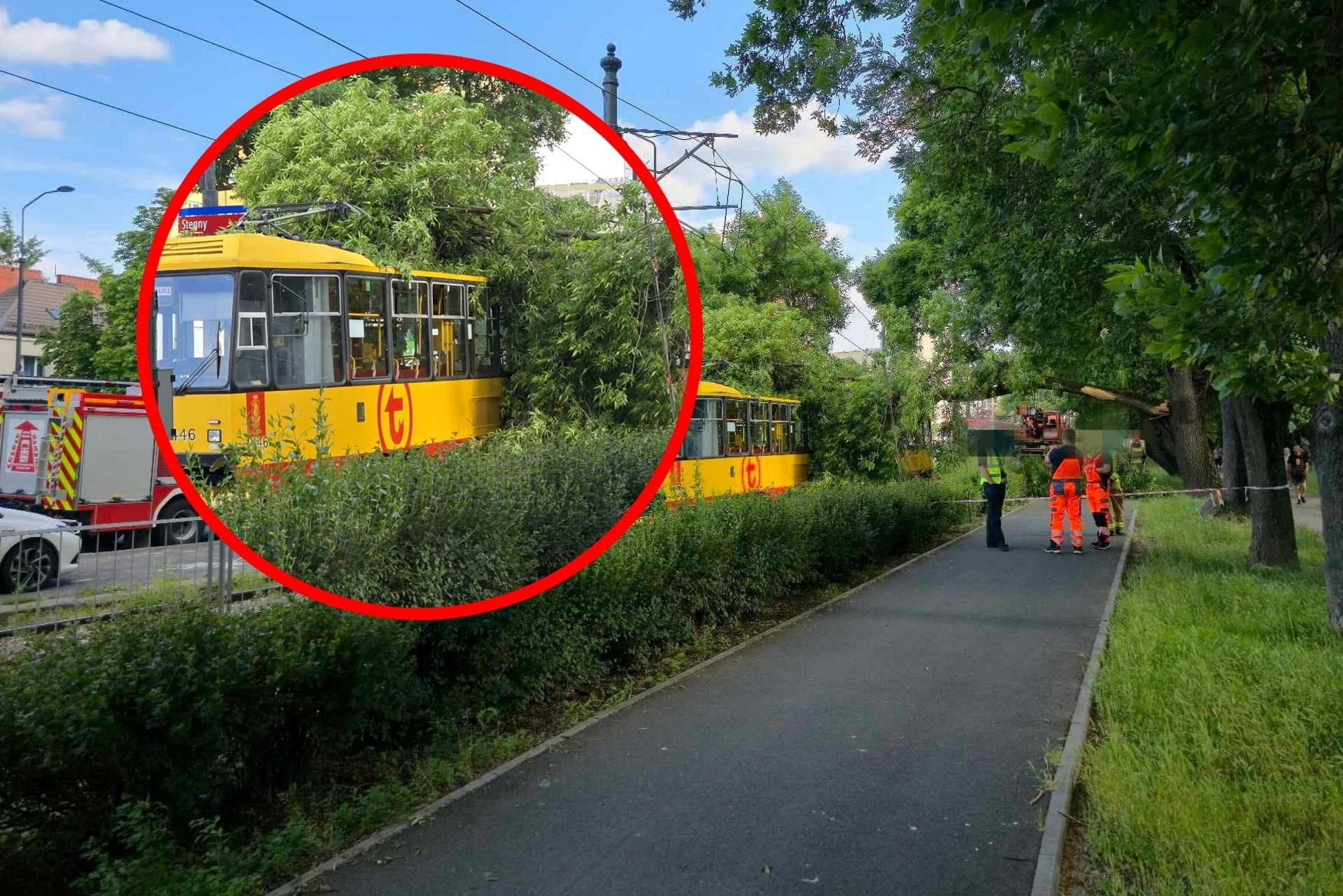 Utrudnienia w ruchu Drzewo spadło na tramwaj w Warszawie! Szokujące sceny na Mokotowie