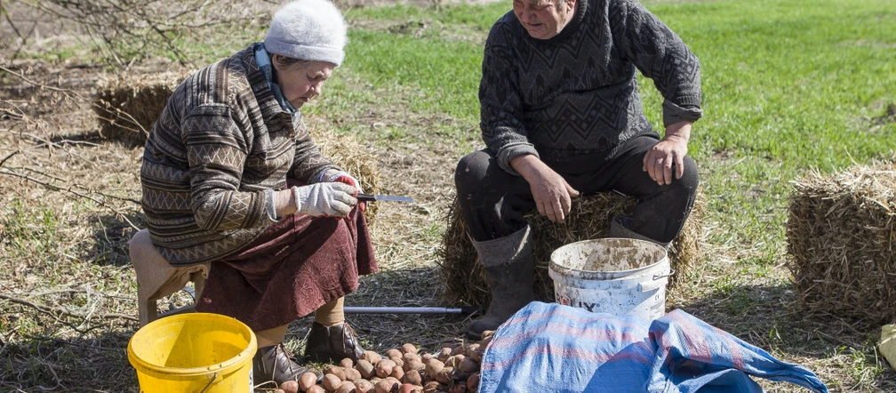 Rolnicy. Podlasie. Kobieta w gospodarstwie Gienka z Plutycz. Pani Nina zajmie się ...