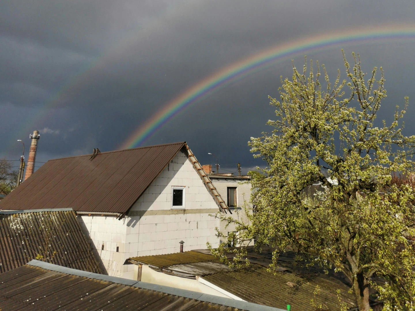 POGODA Pogoda na Boże Ciało 2026. Znamy już prognozę na długi weekend! Będzie ciepło?