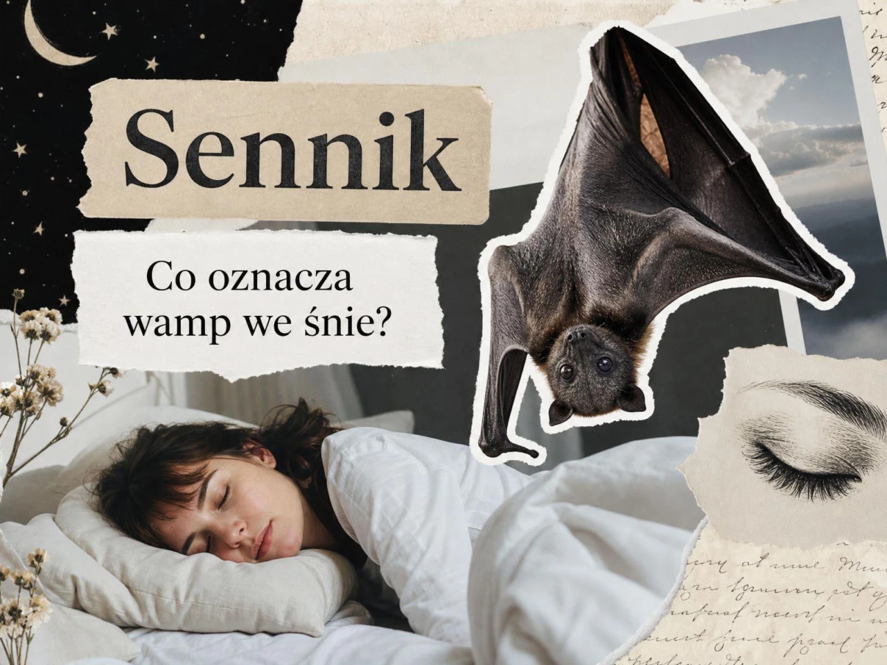Wamp we śnie: znaczenie snu i najczęstsze interpretacje