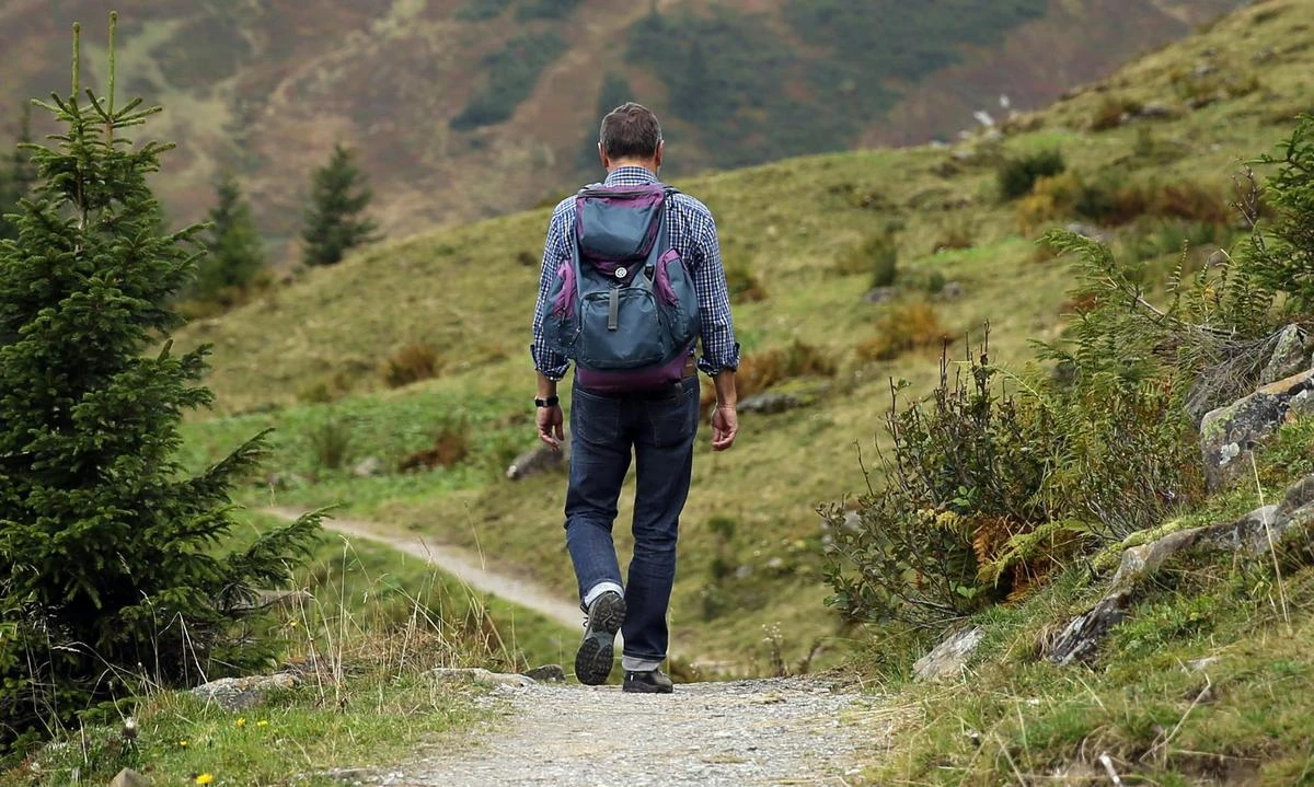 Forêts privées : est-il interdit de randonner ou de courir sur ces sentiers durant la chasse ?