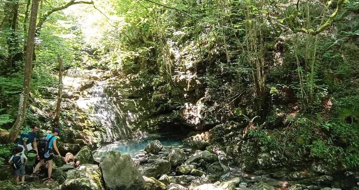 Il fait chaud cet été dans les Pyrénées ? Profitez de ce parcours fraîcheur en forêt jusqu’aux sources de la Bidouze