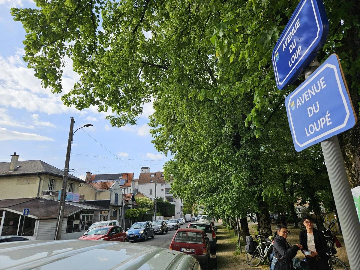 L’avenue du Loup rebaptisée avenue du Loupé