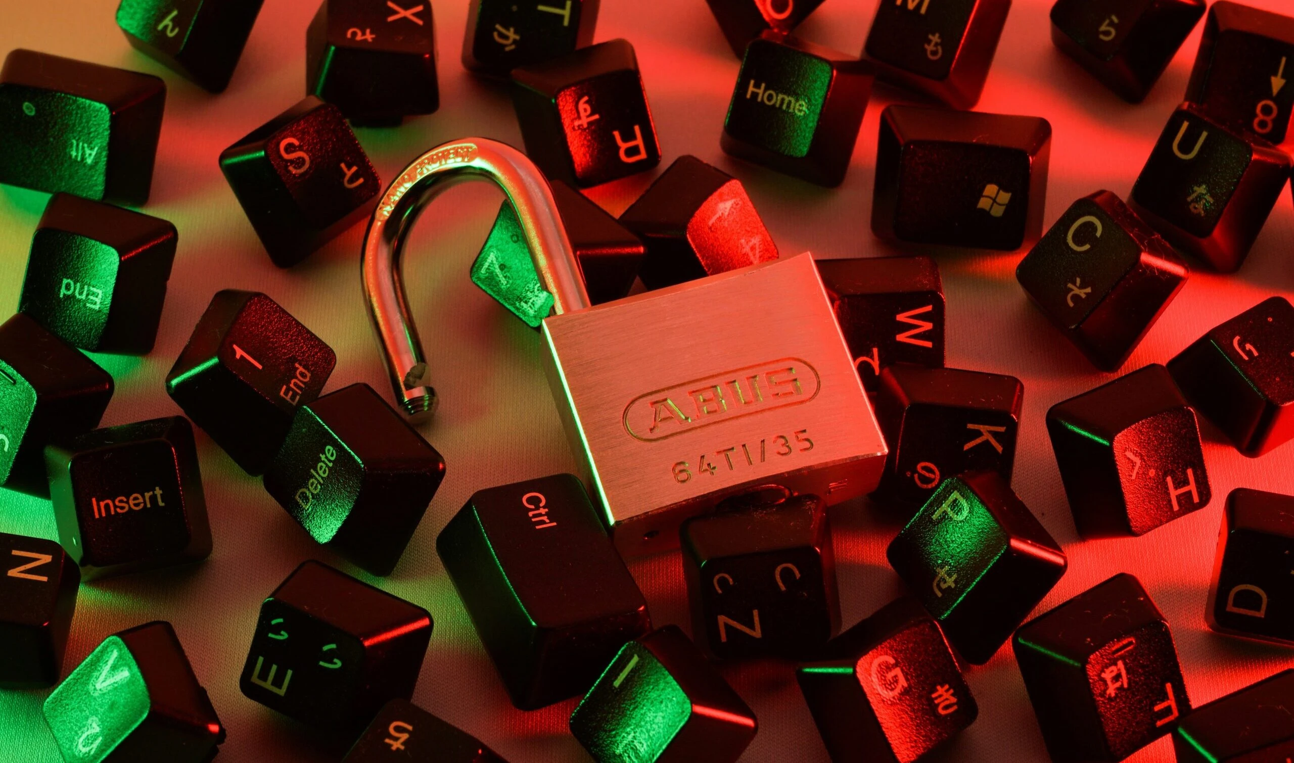 Cybergang, quanto male fanno e a chi. Lo stato dell'arte in Italia