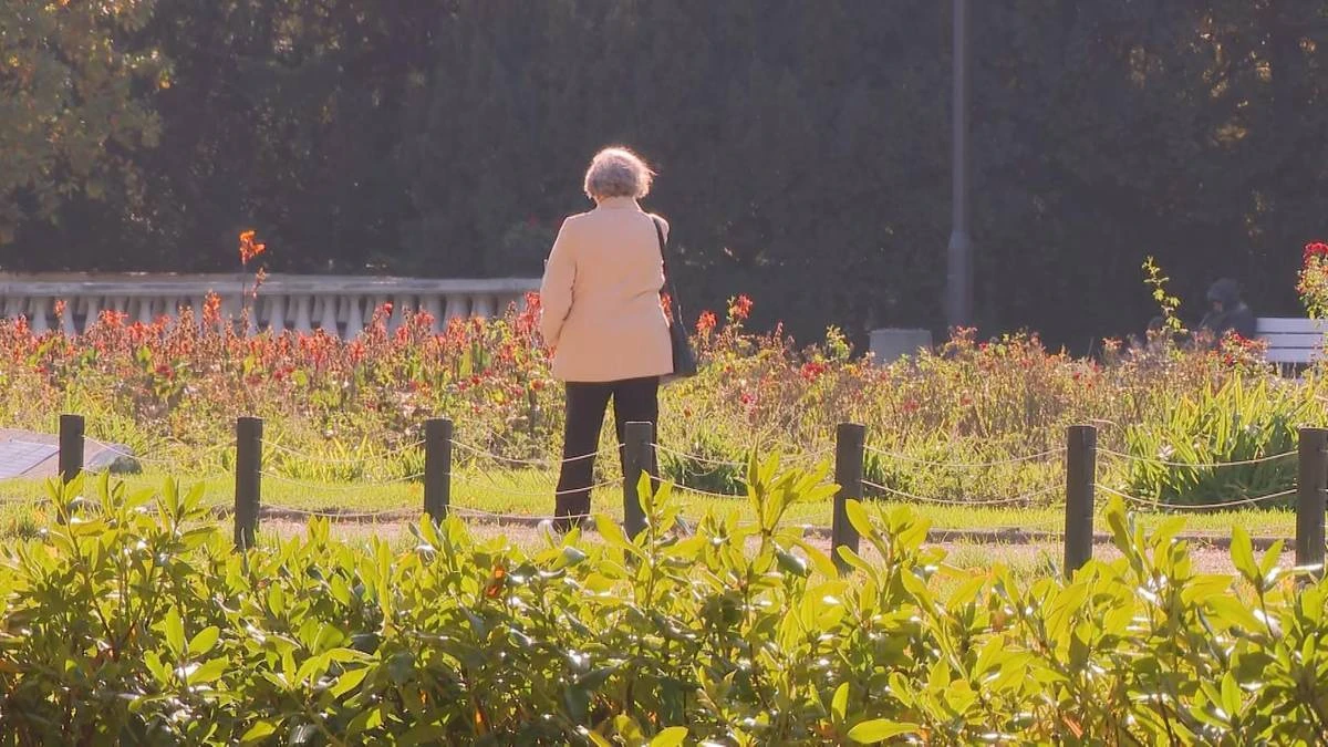 To może być pierwszym sygnałem Alzheimera u seniora. Wymaga pilnej konsultacji