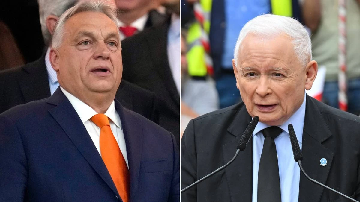Spotkanie Orban-Kaczyński? Rzecznik PiS zabrał głos