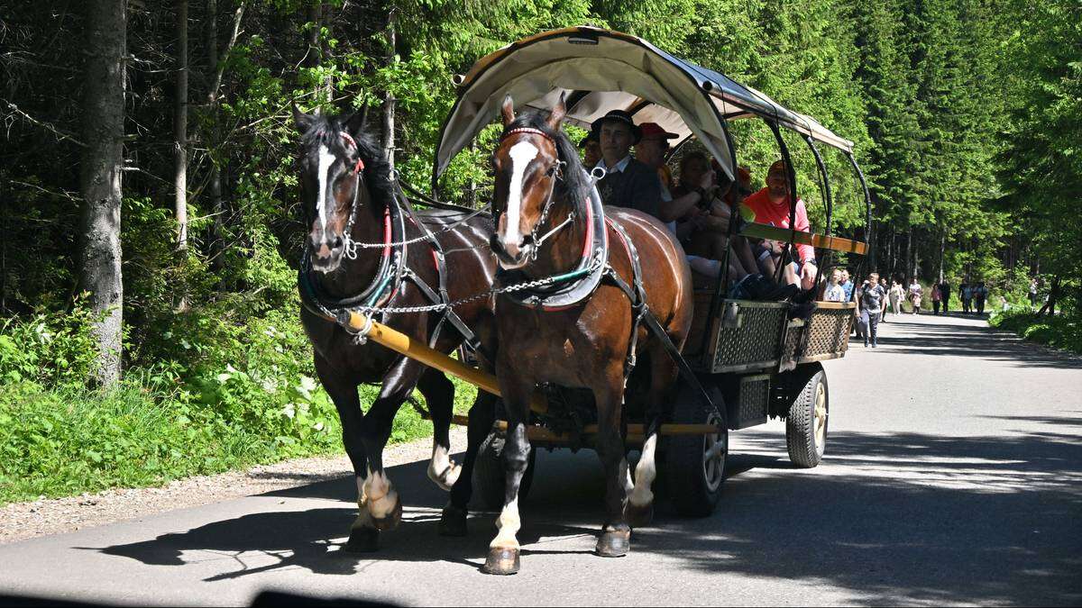 Rewolucja nad Morskim Okiem. Ekspert grzmi o 