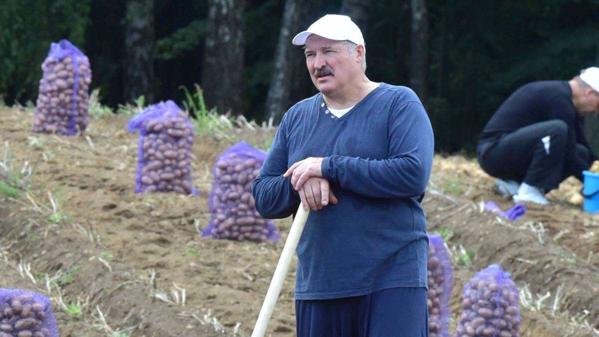 Białoruś buduje pomidorowy pomnik. Odbywać się mają pod nim bitwy