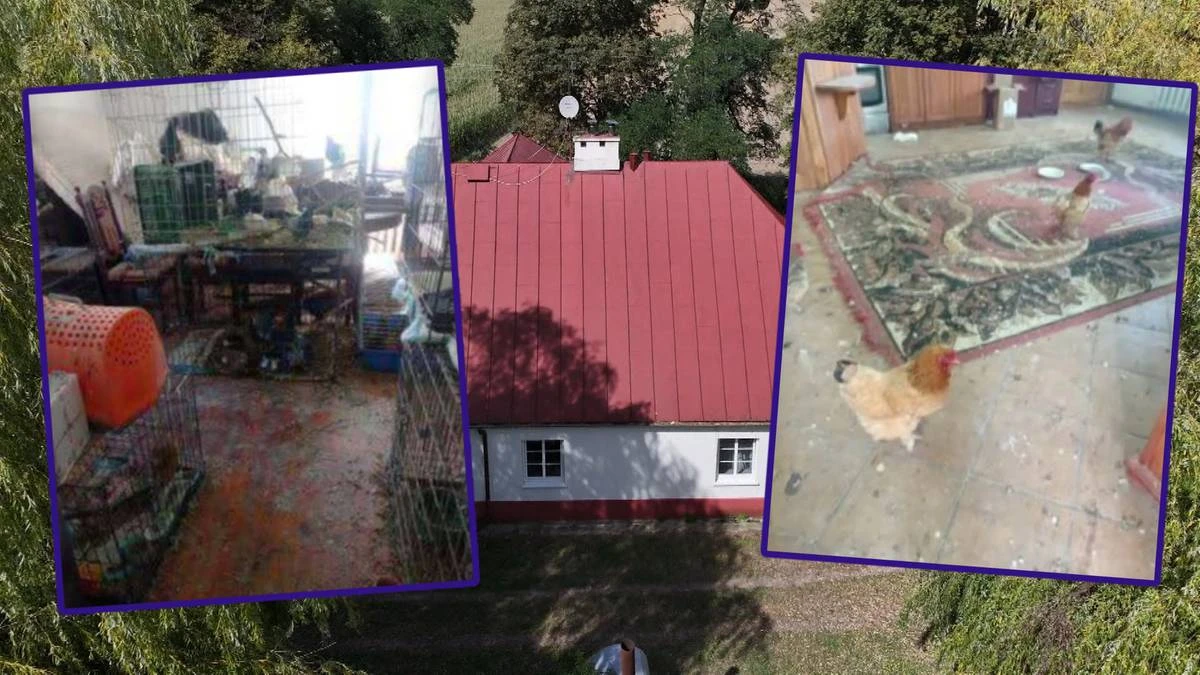 Zabytkowy dworek zamieniony w oborę. Widok poraża