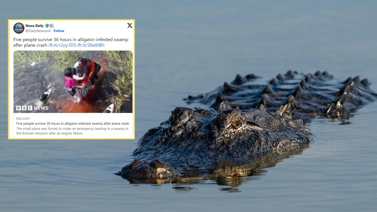 Ponad dobę dryfowali wśród aligatorów. Rozbitkowie uratowani