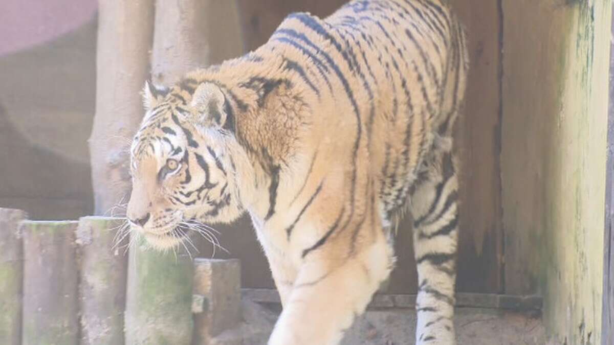 Odeszła legenda gdańskiego zoo. 