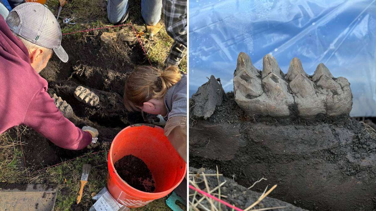 Niezwykłe znalezisko w ogrodzie. 