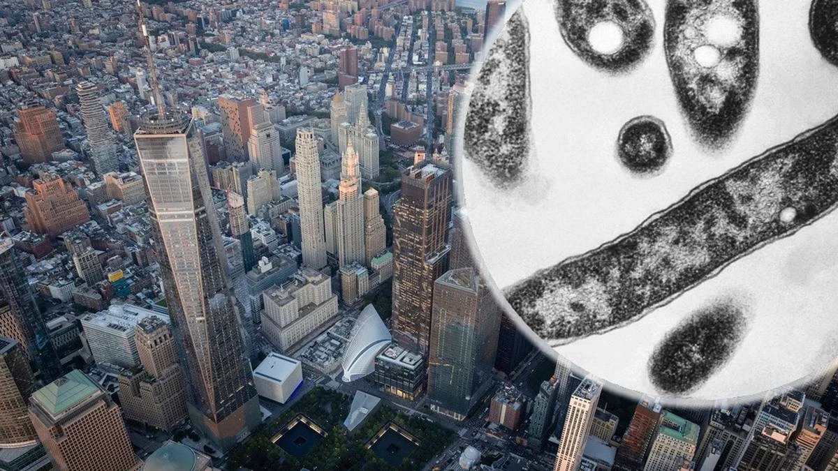 Groźna epidemia w Nowym Jorku. Są ofiary śmiertelne
