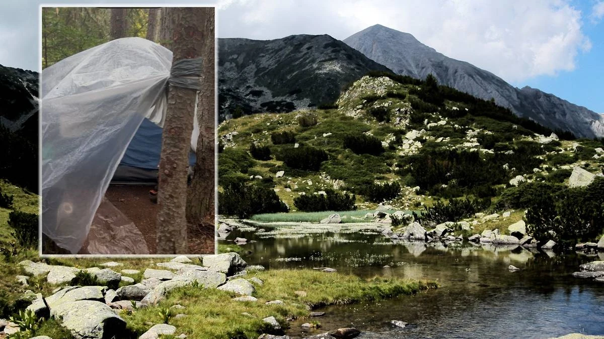 Uznano go za zmarłego. Odnalazł się po 17 latach w lesie