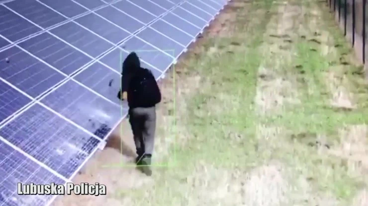 Lubuskie. Zniszczył farmę fotowoltaiczną. Straty oszacowano na ponad 300 tys. zł