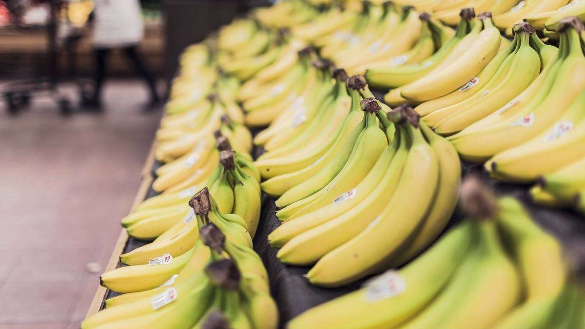 Spodziewali się bananów. Nagle ukazał się jadowity intruz