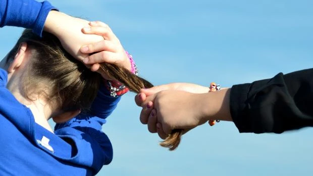 «Para erradicar el acoso escolar hay que educar en igualdad real»