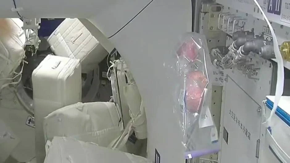 VIDA COTIDIANA EN LA ESTACIÓN ESPACIAL CHINA