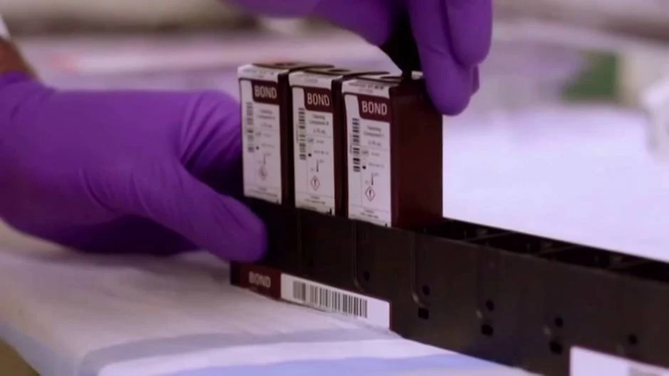 Grandes diferencias entre Pfizer y Moderna