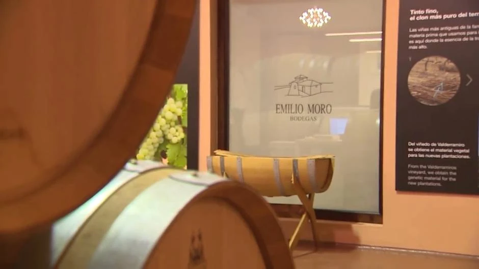 Bodegas Emilio Moro se convierte en la pyme del año en Valladolid