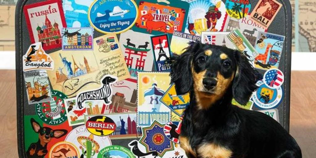Paradores Petfriendly para disfrutar de una escapada perfecta con mascota