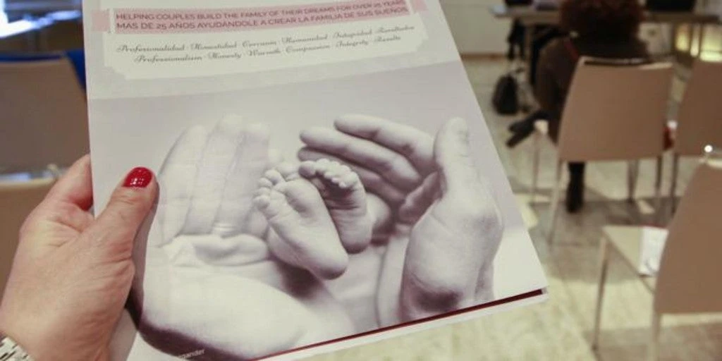 Igualdad presenta a las regiones su ley del Aborto: declara como «violencia» la gestación subrogada