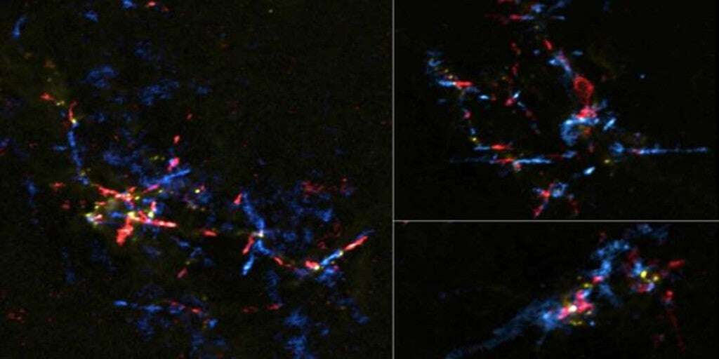 Sorpresa: detectan el 'llanto' de estrellas bebé en el centro de la galaxia