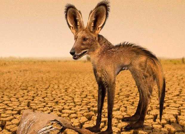 Animales del futuro fruto del cambio climático 