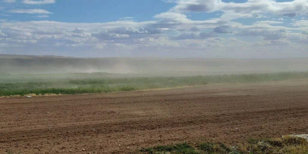 España S. XXI, ante el reto de esquivar la desertificación