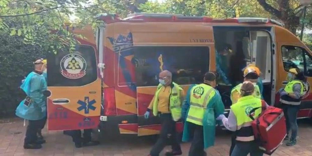 Una cuidadora del Zoo de Madrid, en estado grave tras ser atacada por un gorila