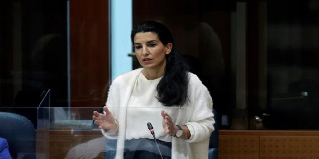 Vox abandona una comisión en la Asamblea de Madrid tras llamarles «nazis» una diputada de Podemos