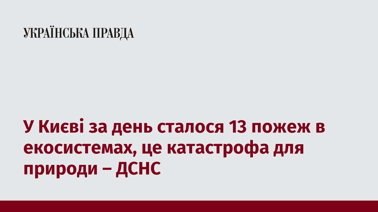 У Києві за день сталося 13 пожеж в екосистемах, це катастрофа для природи – ДСНС