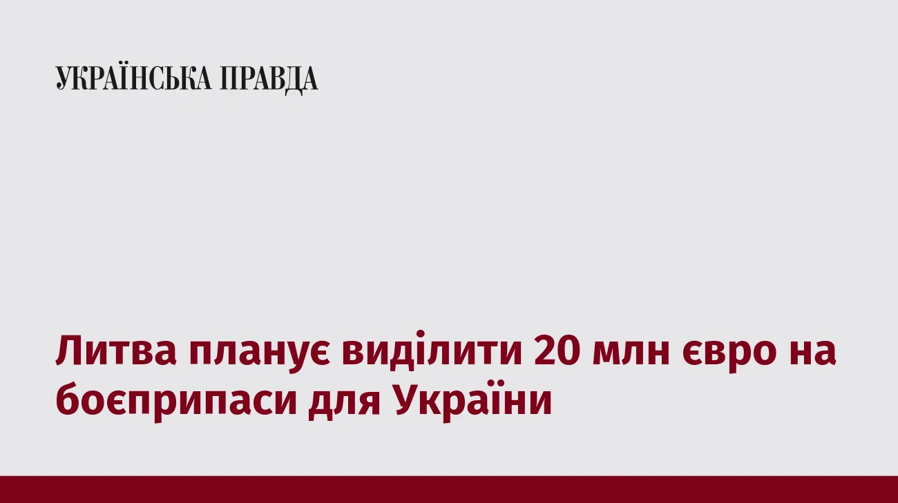 Литва планує виділити 20 млн євро на боєприпаси для України