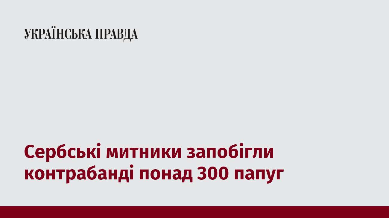 Сербські митники запобігли контрабанді понад 300 папуг