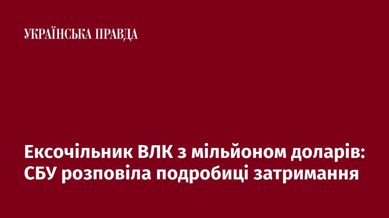 Ексочільник ВЛК з мільйоном доларів: СБУ розповіла подробиці затримання