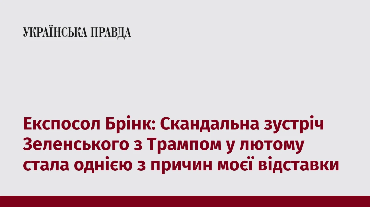 Експосол Брінк: Скандальна зустріч Зеленського з Трампом у лютому стала однією з причин моєї відставки
