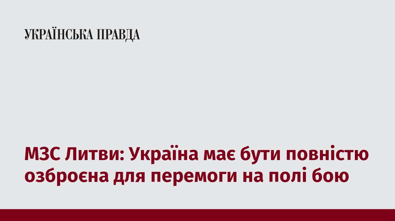 МЗС Литви: Україна має бути повністю озброєна для перемоги на полі бою