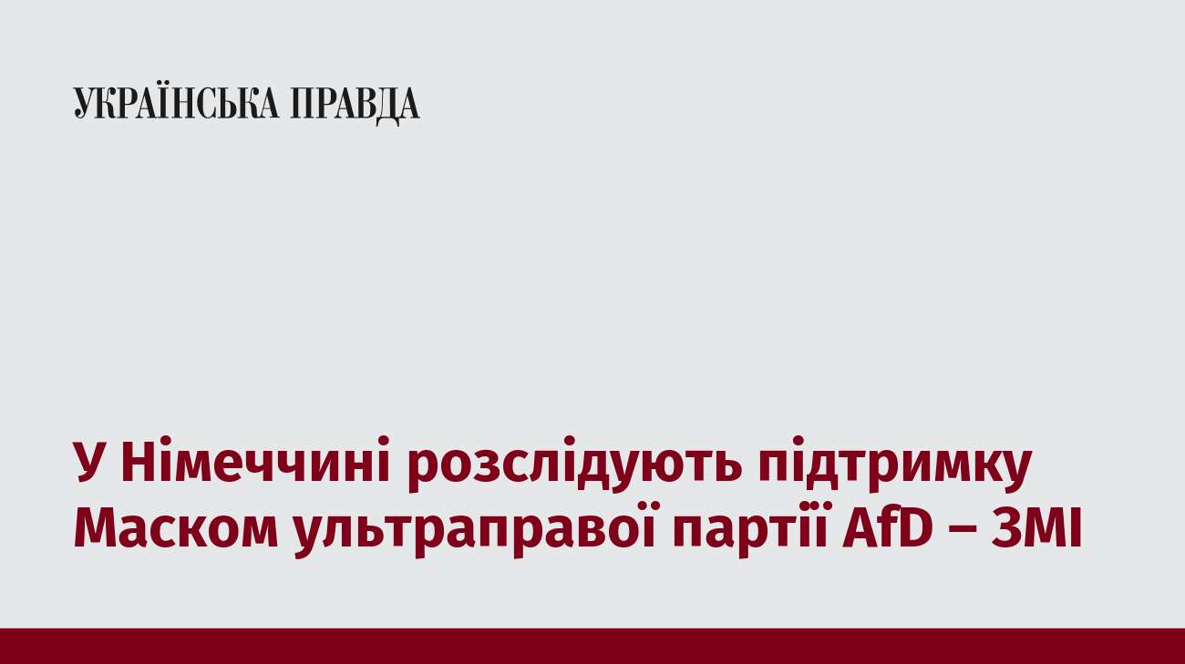 У Німеччині розслідують підтримку Маском ультраправої партії AfD – ЗМІ