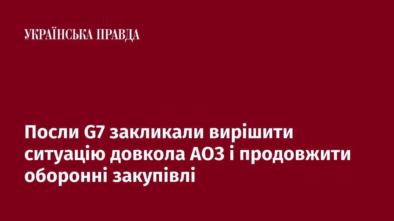 Посли G7 закликали вирішити ситуацію довкола АОЗ і продовжити оборонні закупівлі