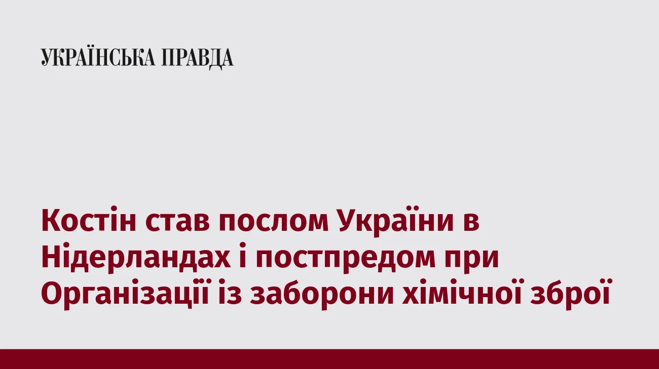 Костін став послом України в Нідерландах і постпредом при Організації із заборони хімічної зброї