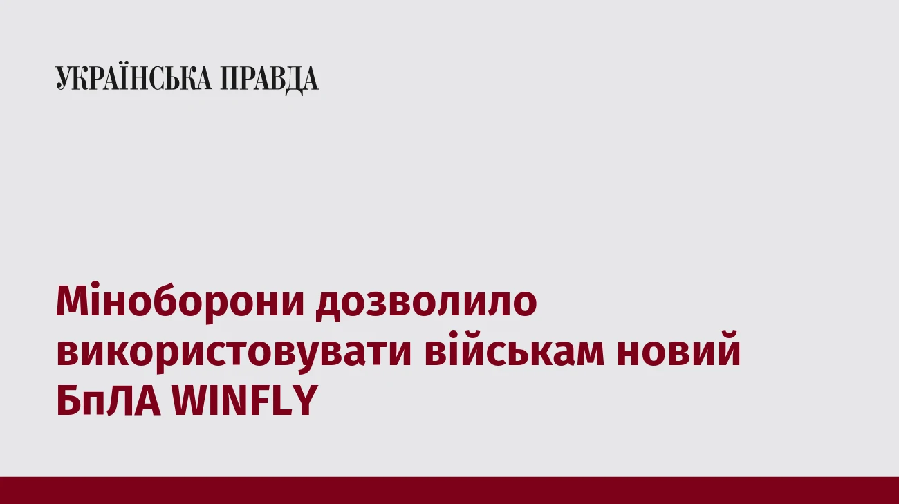 Міноборони дозволило використовувати військам новий БпЛА WINFLY