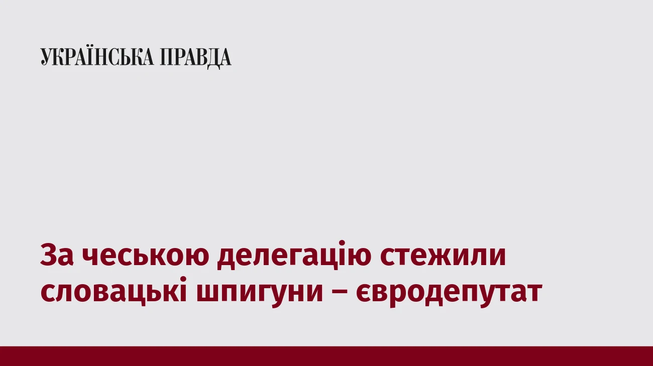 За чеською делегацію стежили словацькі шпигуни – євродепутат
