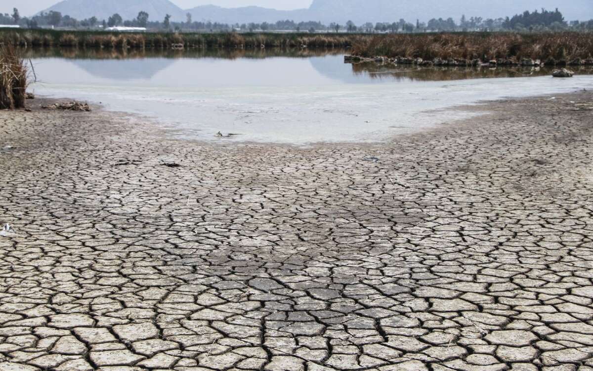 El Niño se debilita pero mantendrá altas las temperaturas: Organización Meteorológica Mundial